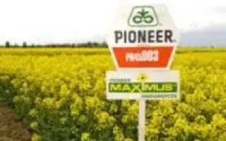 PR46W31 / ПР46В31