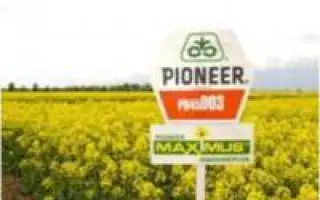 PX100CL / ПХ100СЛ