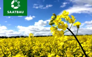 Toronto / Торонто