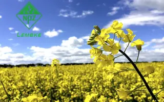 TRUMPF / ТРУМПФ