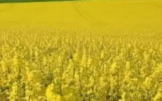 CLICK CL / КЛІК КЛ