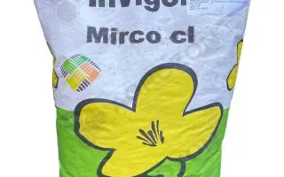 Mirco CL / Мірко КЛ