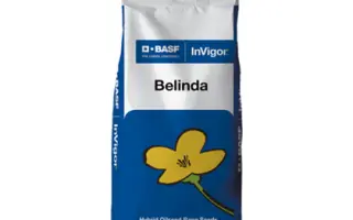 Belinda / Белінда