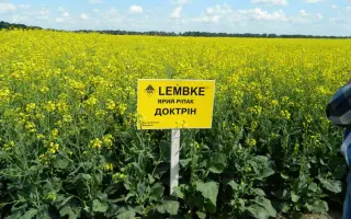 DOKTRIN / ДОКТРІН