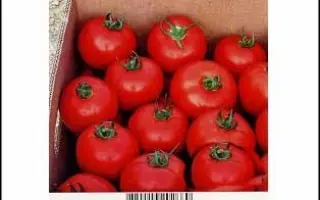 Axiom / Аксіома