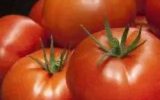 ALTADENA / АЛЬТАДЕНА