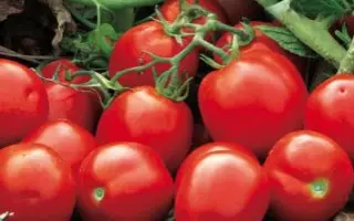 Upgrade / Апгрейд