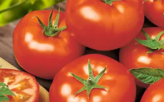 Armaro / Армаро