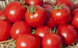 Aswan F1 / Асвон F1