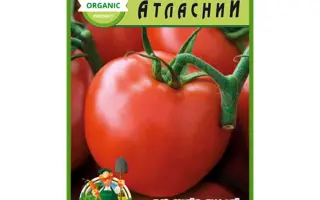 Атласный / Атласний