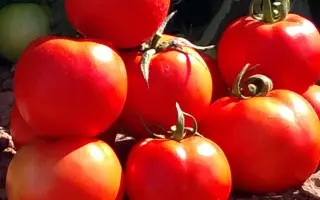 Behram / Бехрам