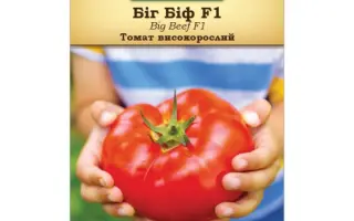 BIG BEEF / БІГ БІФ