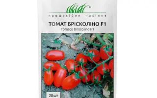 Birikino / Бірікіно