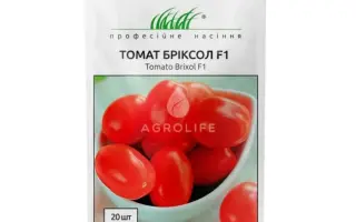 Brixol F1 / Бріксол F1