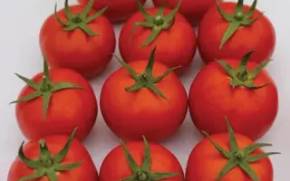 Baikonur / Байконур