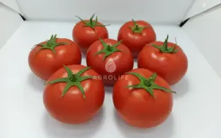 Banderas / Бандерас