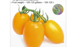 Benigara / Бенігара