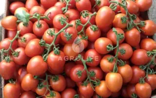 BILBAO / БІЛЬБАО