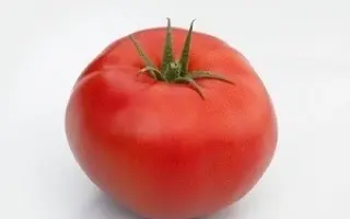 BOLENA / БОЛЕНА