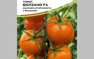 BOLZANO / БОЛЗАНО