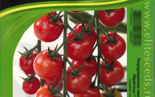 BOMFUN / БОМФАН