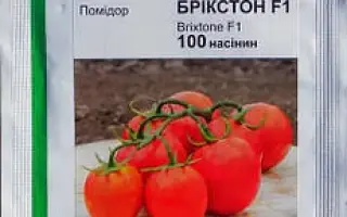 BRIXTONE / БРІКСТОН