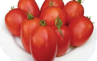 Veloz F1 / Велоз F1