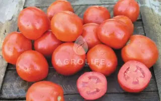 Vulcan / Вулкан