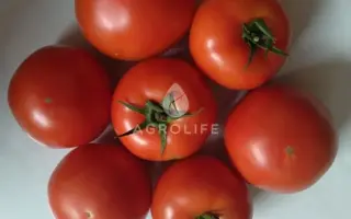 Helicaz / Геліказ