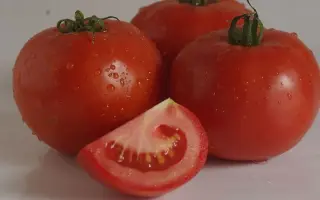 Dyson / Дайсон