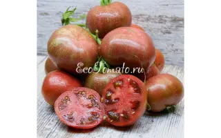 DARKMICO / ДАРКМІКО