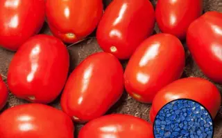 Derica / Деріка