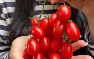 Dolcisio / Дольчесіо