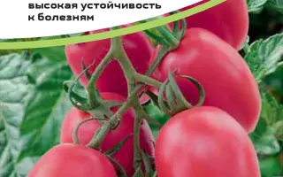 DRK 936 / ДРК 936