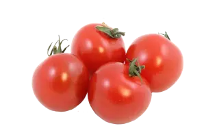 DRC 564 / ДРЦ 564