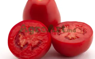 ENOTRIO / ЕНОТРІО