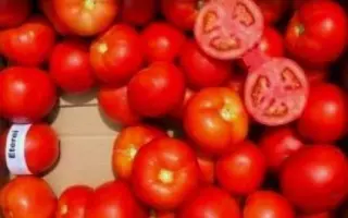 Eterei / Етерей