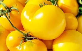 Золота осінь