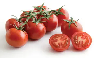 Campari / Кампарі