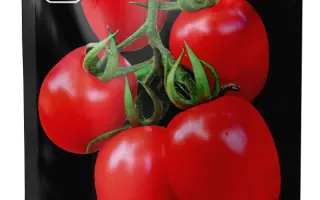 KOLEOS / Колеос