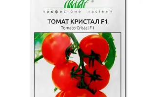 Cristal F1 / Кристал F1