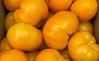 Kumbulu / Кумбулу