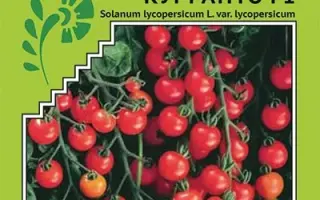 Kurtino / Куртіно