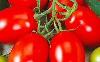 Лагидный / Лагідний