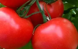 LAGENDA / ЛАДЖЕНДА