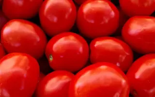 Leonerosso / Леонероссо