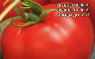 Magali F1 / Магали F1