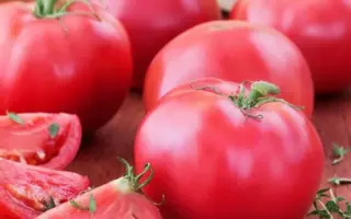 Малиновий дзвін