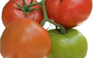 MALUNO / МАЛУНО