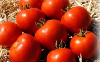 MAMAKO / МАМАКО